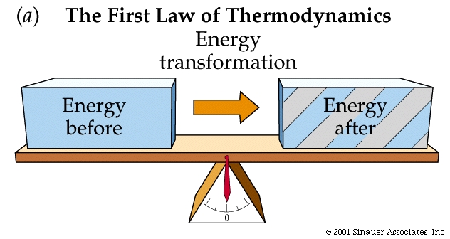 The Big Bang theory violates the First Law of Thermodynamics